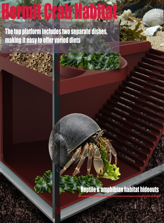 UNISOLODECHO Hermit Crab Hideout with Climbing Tunnel | Hermit Crab Climbing Toys| Hermit Crab Water Tank Accessories |Hermit Crab Habitat, Also Suitable for Sea Turtles, Lizards and Tarantulas - Image 2